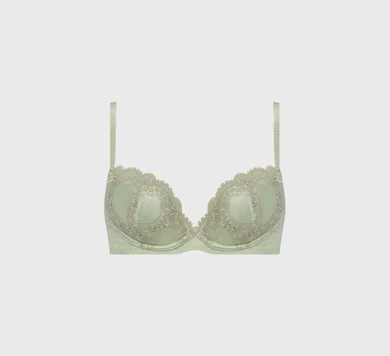 Brassiere (WHP)